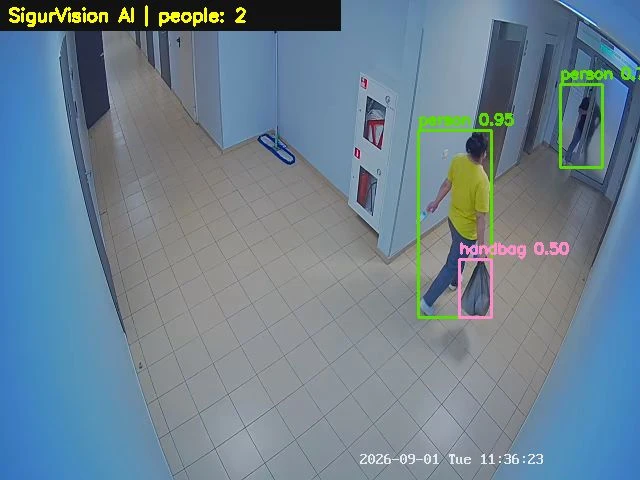 1_1.png